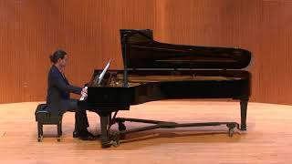 Beethoven Symphony No 9 for solo piano [upl. by Hanway]