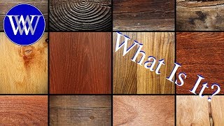 Wood Identifications Examples [upl. by Frey810]