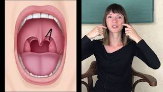 Making Connections Swallowing Therapy and the SLP [upl. by Armyn]