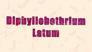 10 Diphyllobothrium Latum  العوساء العريضة [upl. by Isabeau]