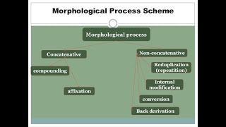 Morphological Processes Definitions and Examples [upl. by Purse]