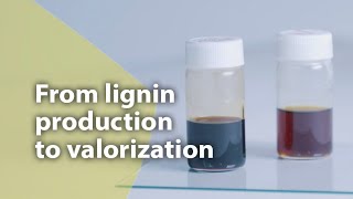 From lignin production to valorization [upl. by Niu]