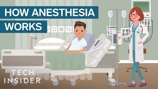 How Anesthesia Affects Your Brain And Body [upl. by Geithner]