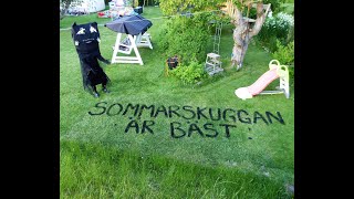 Sommarskuggan busar i trädgården [upl. by Shulem]