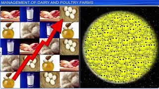 CBSE Class 12 Biology  Strategies for Enhancement In Food Production  Full Chapter  By Shiksha [upl. by Latoyia]