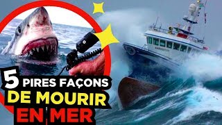 5 DANGERS TERRIFIANTS en MER 🐬 [upl. by Brindell]