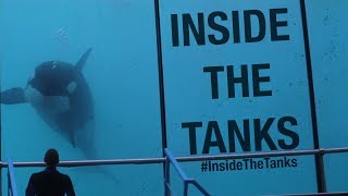 Inside The Tanks Full Documentary [upl. by Magulac953]