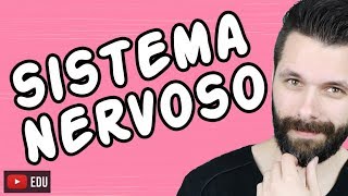 SISTEMA NERVOSO  FISIOLOGIA  Aula  Biologia com Samuel Cunha [upl. by Einhoj]