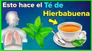 Estos Son Los Beneficios y Propiedades del Té de Hierbabuena [upl. by Vullo415]