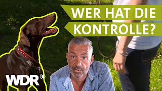 Endlich die Führung übernehmen  Hunde verstehen  S03E01  WDR [upl. by Naujaj]