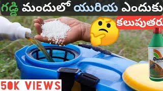 గడ్డి మందులో యురియ ఎందుకు కలుపుతారు  Roundup  Herbicides Mode of action [upl. by Jaella]