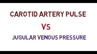 carotid artery pulse VS jugular venous pressure [upl. by Attelra]