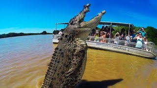 BIGGEST Crocodiles In The World [upl. by Gerrilee]