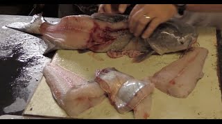 Learn how to fillet a catfish  Detailed Tips and Techniques [upl. by Ebanreb]