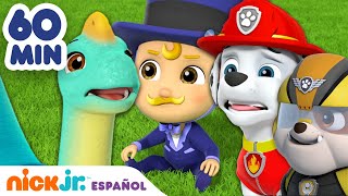 PAW Patrol  ¡1 hora de los rescates de bebés más adorables de la Patrulla canina  Nick Jr [upl. by Hendrickson]