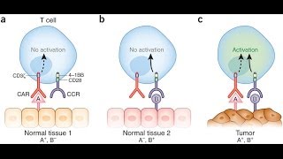 Tumor specific antigen [upl. by Cerys]