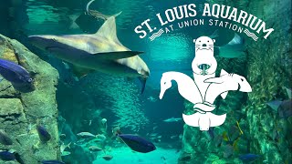 St Louis Aquarium at Union Station Tour amp Review with The Legend [upl. by Avner]