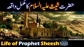 Hazrat Sheesh As ka Waqia  Life of Prophet Sheesh  Sheesh Story Urdu  Qasas ul Anbiya  Episode 2 [upl. by Letniuq365]