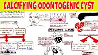 Calcifying Odontogenic Cyst  Clinical radiographic Histopathologic Features and Treatment [upl. by Pillihp292]