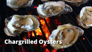 Chargrilled Oysters  Grilled Oyster Recipe on Big Green Egg [upl. by Benedicto]