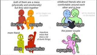 Zodiac Signs Compilation CUTE ships [upl. by Osrick]