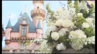 Morning Castle Wedding  Disneyland [upl. by Ikik]