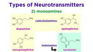 Neurotransmitters Type Structure and Function [upl. by Peltier]