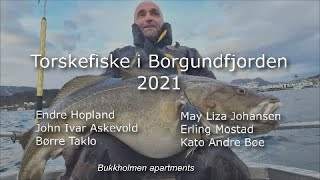 Ålesund  Torsk og skreifiske i Borgundfjorden 2021  Norway  Bukkholmen Rorbu Ålesund [upl. by Sitof]