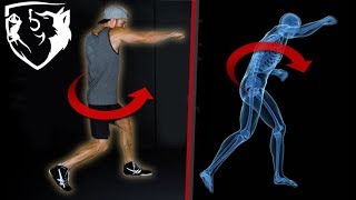 The Perfect Punch Body Rotation Biomechanics [upl. by Cicenia]