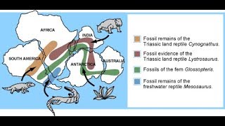 Biogeography [upl. by Ahteral]