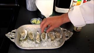 Raw Oysters on the Half Shell Recipe [upl. by Halette189]