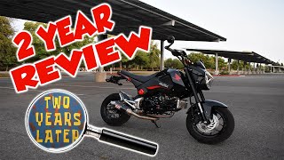 Honda Grom  EVERYTHING You Need to Know [upl. by Tierney272]