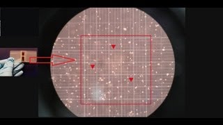 Hemocytometer  Counting of cells  Amrita University [upl. by Ybbor944]