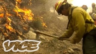 How to Fight Forest Fires [upl. by Claudina]