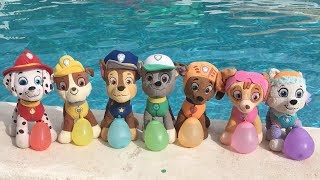 Aprende los colores con juguetes Paw patrol y Chase en la piscina Videos educativos para niños [upl. by Lagas]