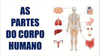 Corpo Humano  5 Sentidos [upl. by Conners]