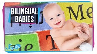 How Do Babies Become Bilingual [upl. by Shien]