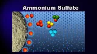 Bioprocessing Part 3 Purification [upl. by Euqinaj437]