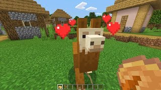 How To Tame And Ride A Llama In Minecraft [upl. by Giacinta]