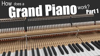 How does a Grand Piano work  Part 1 [upl. by Neelloj]