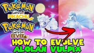 HOW TO EVOLVE ALOLAN VULPIX IN POKEMON LETS GO PIKACHU AND EEVEE [upl. by Alley460]