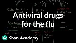 Influenza Treatment Options [upl. by Gall845]