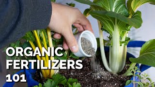 14 Organic Fertilizers and How to Use Them [upl. by Kirtley]