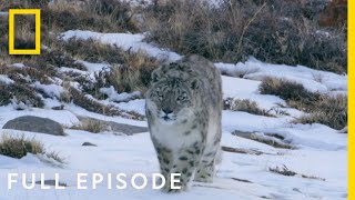 Mountains Full Episode  Hostile Planet [upl. by Atiugram]