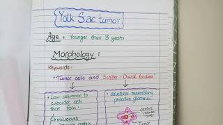 SEMINOMA and NONSEMINOMAS  Testicular Cancers Pathology [upl. by Sachi]