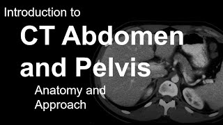 Introduction to CT Abdomen and Pelvis Anatomy and Approach [upl. by Ulrica]