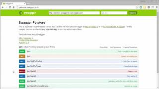 How To Use the Swagger Demo [upl. by Metts798]