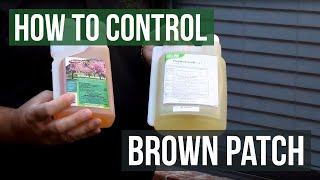 How to Control Brown Patch Fungus with Honor Guard PPZ Fungicide Propiconazole [upl. by Angil]