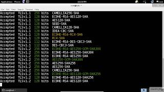 SSL Scanning  Kali Linux  SSLTLS Vulnerability Scanner [upl. by Adamik463]