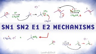 SN1 SN2 E1 E2 Reaction Mechanism Overview [upl. by Noyes]